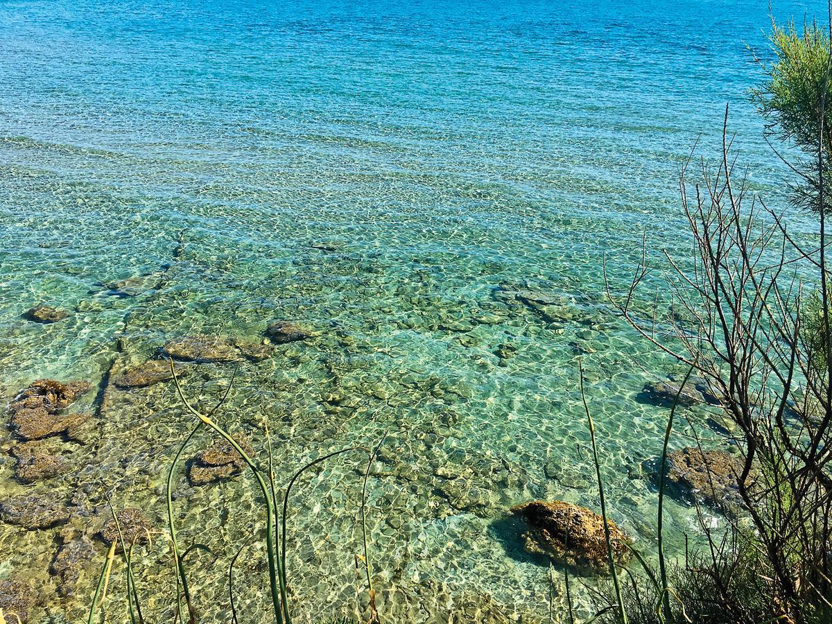 Vigna Corallo Otranto