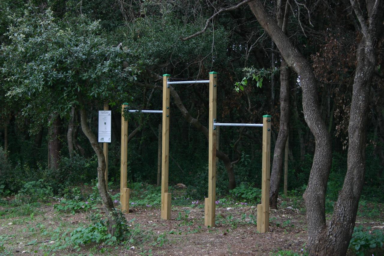 Vigna Corallo