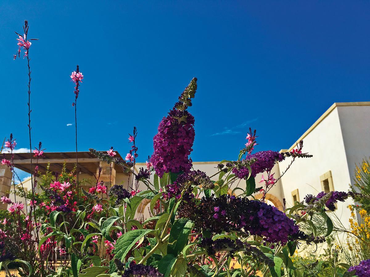 Vigna Corallo 3* Otranto
